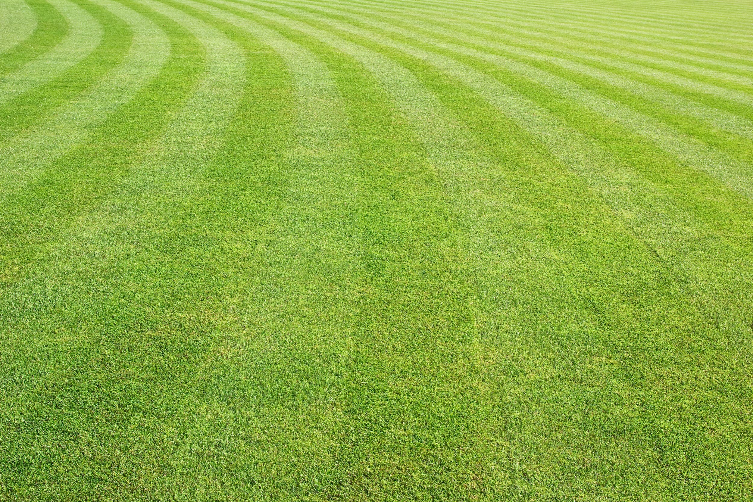 Freshly mowed lawn with crisp striped pattern, Austin TX