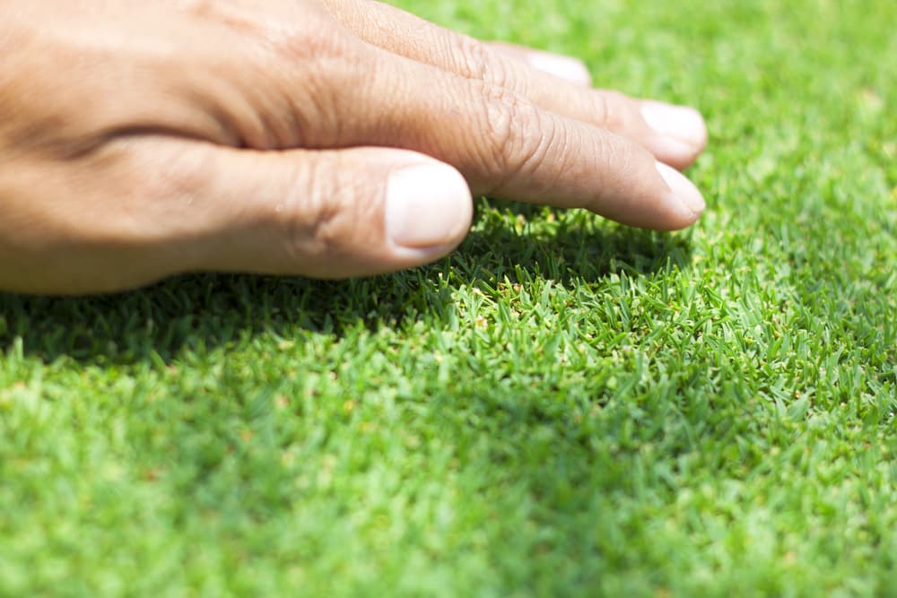 Lawn and landscape work by Student Loan Payment Lawn Care
