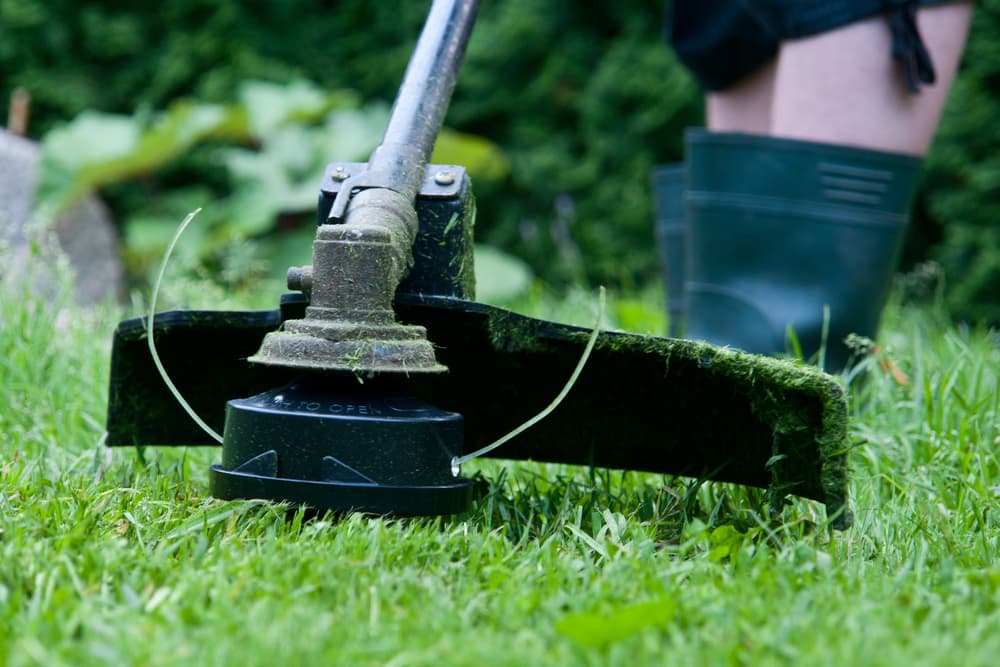 Lawn Care Services